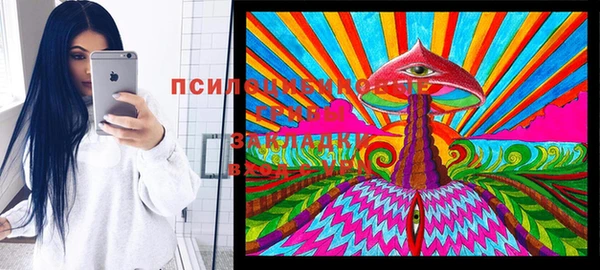 дживик Нефтекумск